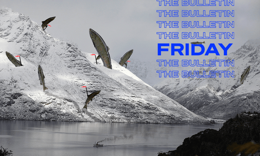 Ski field failures, agricultural emissions, marine heatwaves and land-based fish farming. a week in news (Image: Getty/Tina Tiller)