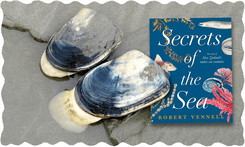 Secrets of the Sea: The Story of New Zealand’s Native Sea Creatures (Image: Toby Morris)