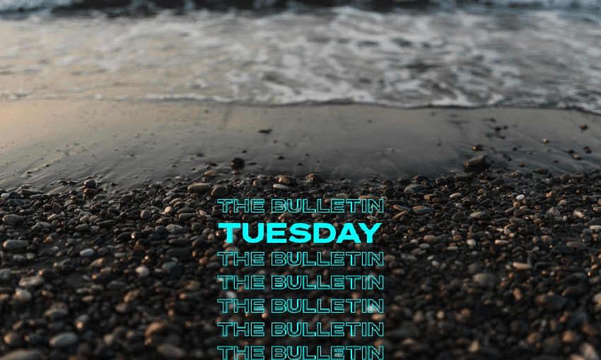 Signals have been sent via local government election results about support for Three Waters (Image: Pexels) 
