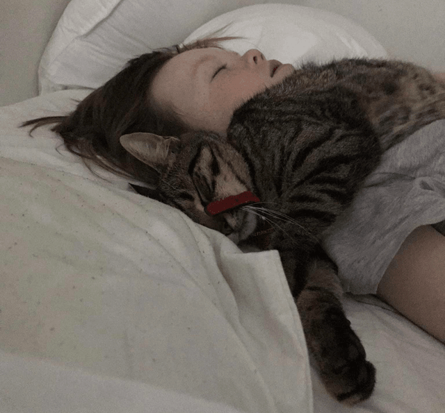 Does my cat really love me? The Spinoff
