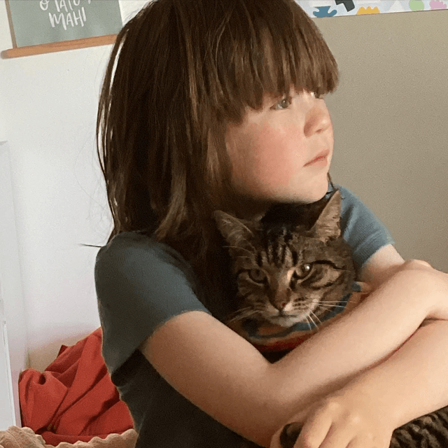 Does my cat really love me? The Spinoff