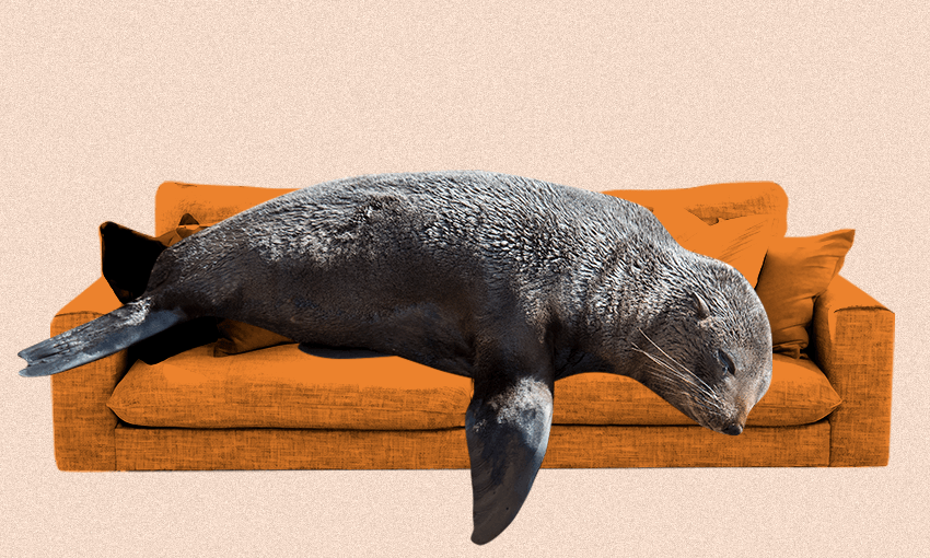 Image: Getty Images / Archi Banal 
