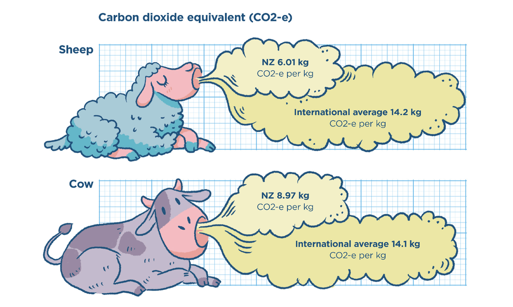Setting a standard How our beef and lamb footprint measures up against