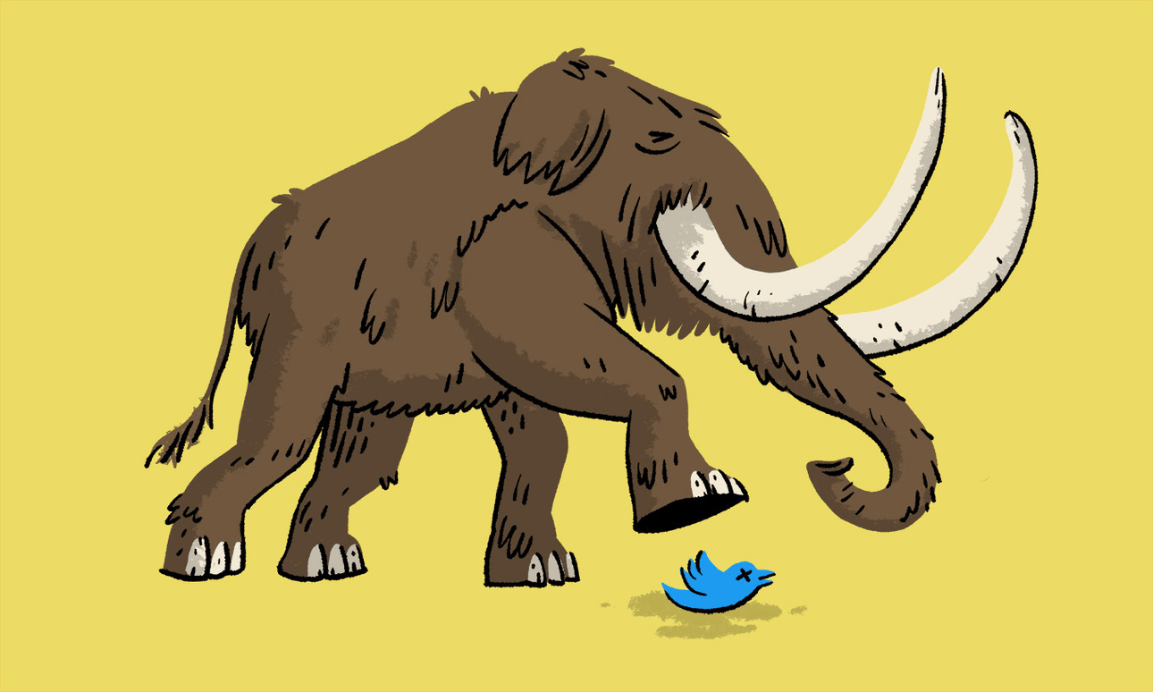 Illustration: Toby Morris 
