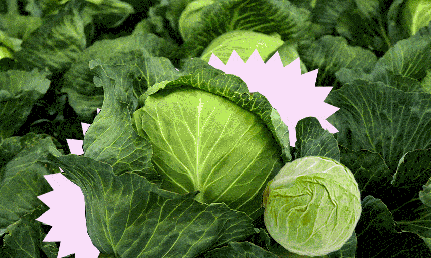 Cabbage 17 Cabbage Gif Cabbage 17 Cabbage Dragon Ball vrogue.co