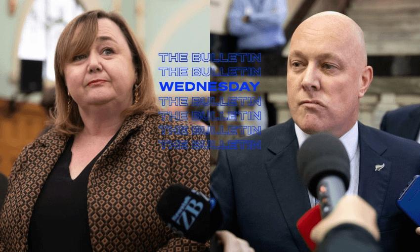 Megan Woods says National’s opposition of climate policies leaves Christopher Luxon with a hole greater than Auckland’s annual emissions twice over (Photos: RNZ/Angus Dreaver) 
