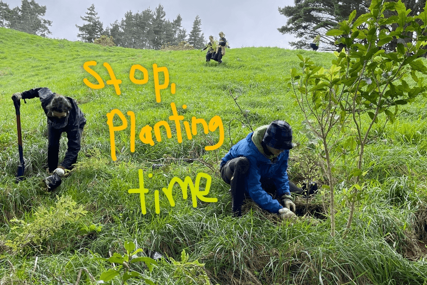 Two figures in a reserve, crouched over putting plants in the earth. Two figures in the background carry a large plant