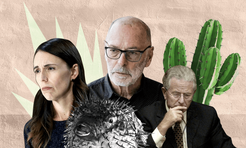 Jacinda Ardern, Wayne Brown and Michael Cullen have all entered the game of pricks (Image: Archi Banal) 
