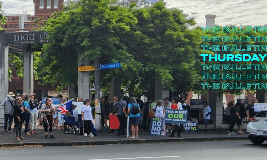 Anti-vax protesters gathered outside the High Court in Auckland (Photo: RNZ / Finn Blackwell) 
