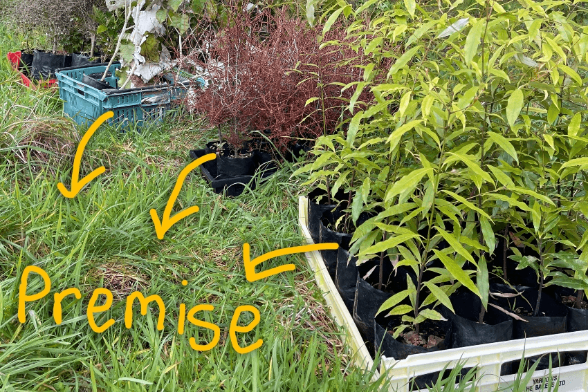 Diagram of the premise of planting