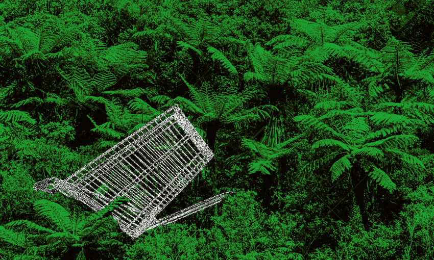 Supermarket trolleys