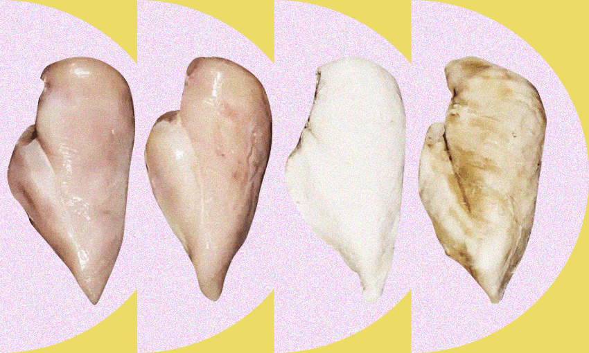 L-R: raw normal, raw woody, cooked normal, cooked woody – tag yourself (Design: Archi Banal) 
