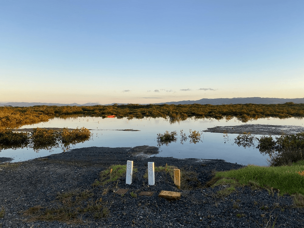 shiny reflective water and clear sky - early in the morning - a gravelly beach and water rimmed with short mangroves