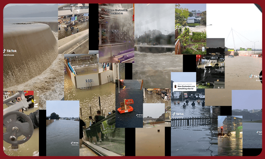 A flood of TikToks (Image: Bianca Cross) 
