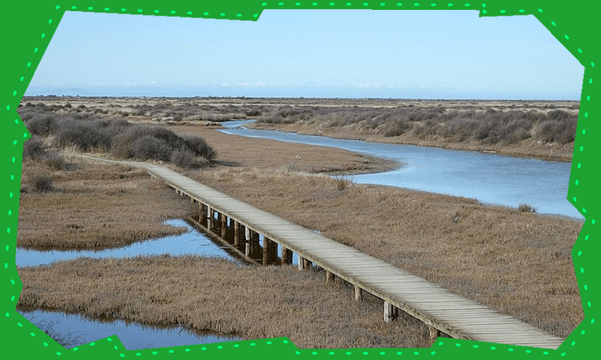Wairau Lagoons walkway (Photo: Wikimedia Commons) 
