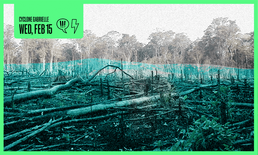 a clear cut forest with a blue wash that looks like a flood, sort of. and a frame saying 'cyclone gabrielle wedensday 15 february'
