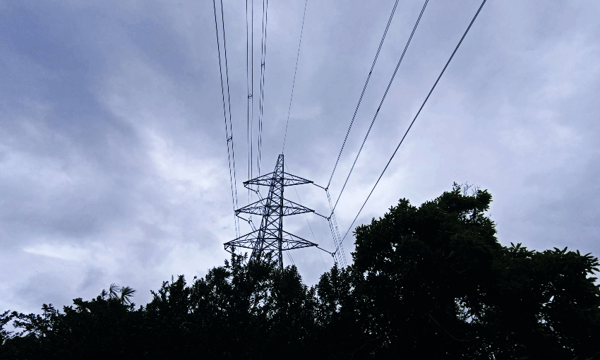 Powerlines in West Auckland. Photo: Toby Manhire 
