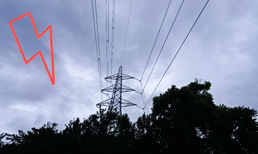 Powerlines in West Auckland. Photo: Toby Manhire