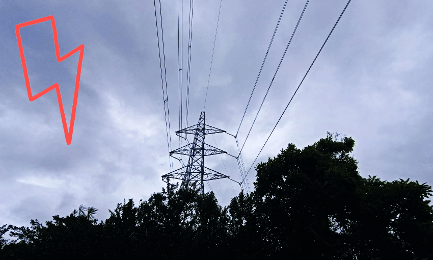 Powerlines in West Auckland. Photo: Toby Manhire 
