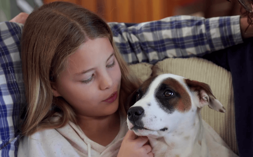 The Dog House NZ is perfect reality television The Spinoff