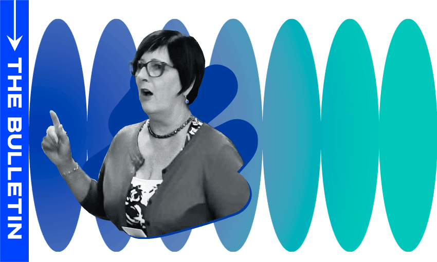 From Tuesday to this weekend: Maureen Pugh and the National party’s hue of teal (Image: Tina Tiller) 
