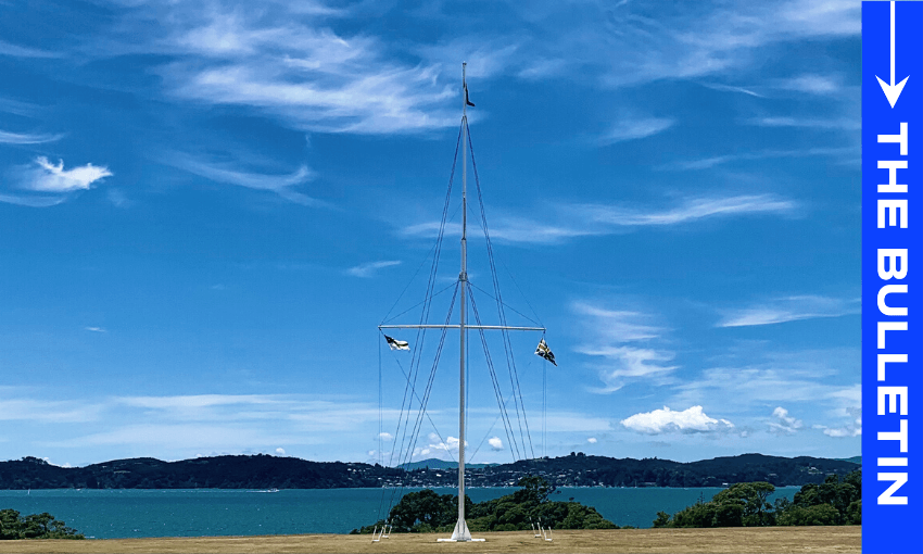 The flagpole at Waitangi (Image: Anna Rawhiti-Connell) 
