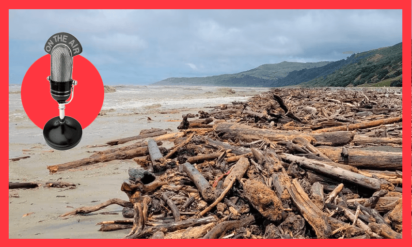Logs deposited on the beach in Tolaga Bay after heavy rain (Photo: Graeme Atkins, design: Tina Tiller) 
