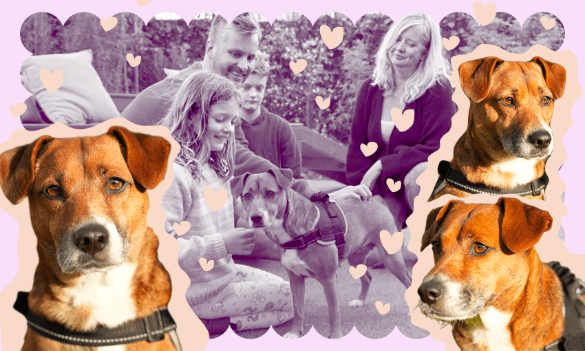 A reality show gave us the best doggo ever The Spinoff