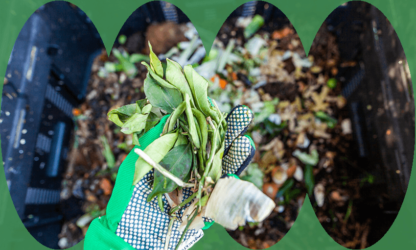 a hand holding some greens abovea compost bin with a green bin