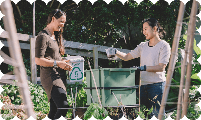 A worm farm in action (Image: Compost Collective) 
