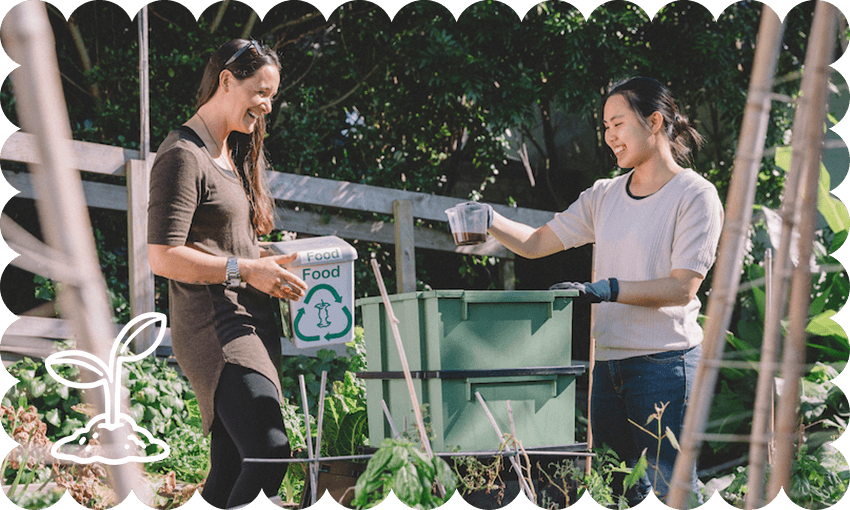 A worm farm in action (Image: Compost Collective)
