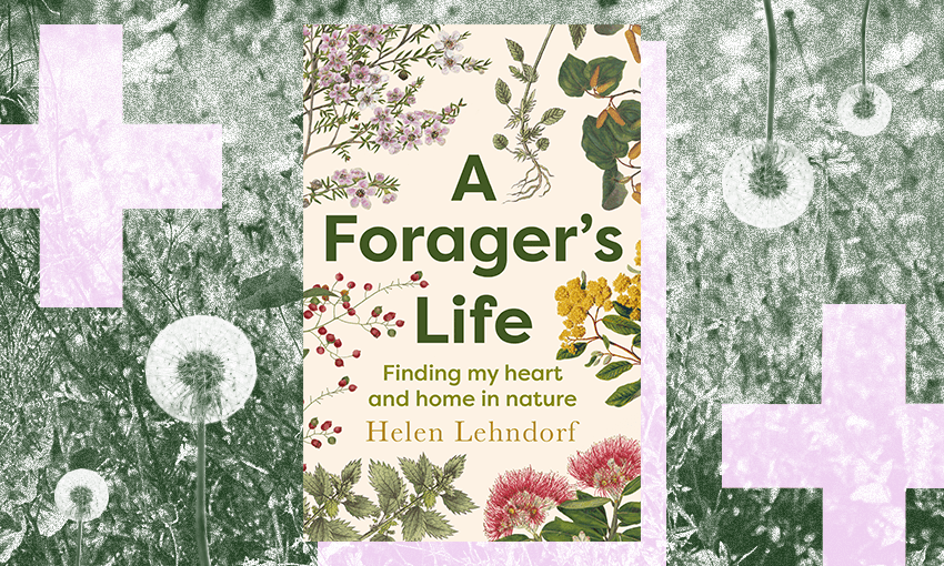 (Image: Archi Banal) 
