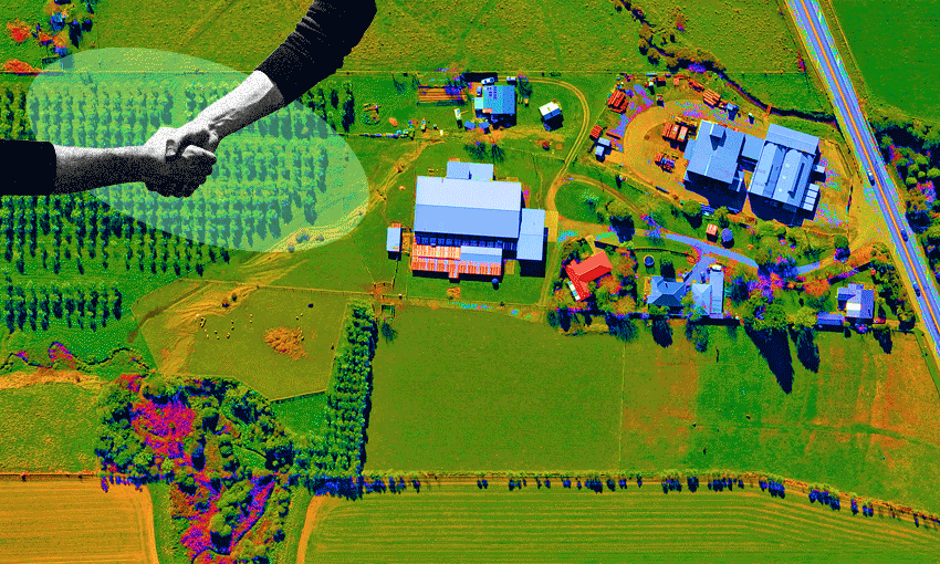 a gif of trees and houses blossoming across and landscape.possibility! colour! trees! a more resilient future!