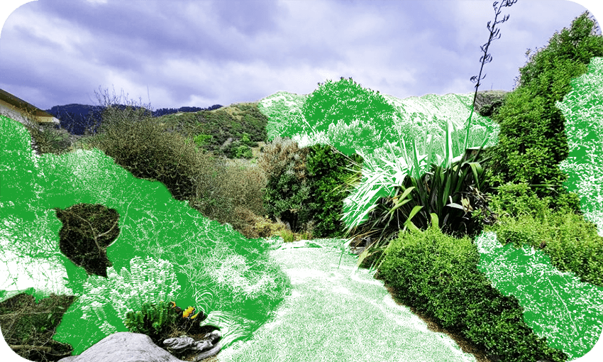 Photo: Amelia Geary / Design: Archi Banal 
