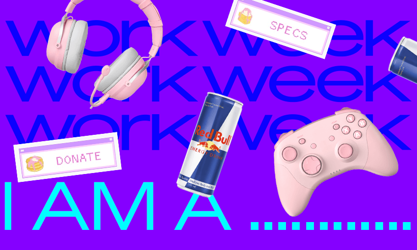 I am a fulltime Twitch streamer this is what I do The Spinoff