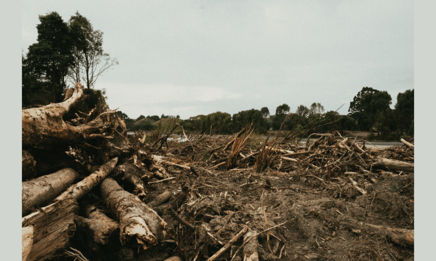 Trees are uprooted on Omarunui Road in Hawke's Bay.
