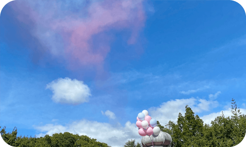 The image is of the sky in Auckland at the protest against the anti-trans activist on March 26, 2023. There are ballons in the colours in the colour of the trans pride flag in the bottom right corner and smoke of the same colour above the clouds