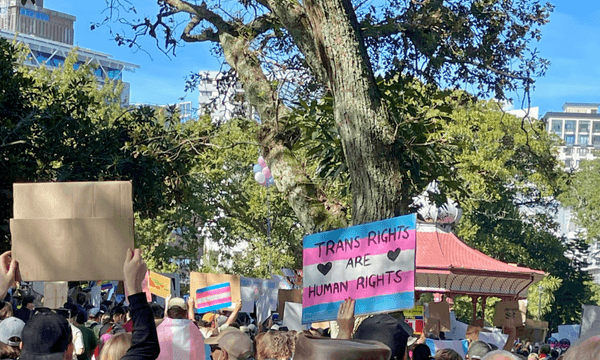 a sign reads "trans rights are humans rights" at the trans support rally in Albert Park. A tree stands in the background against a bright blue sky