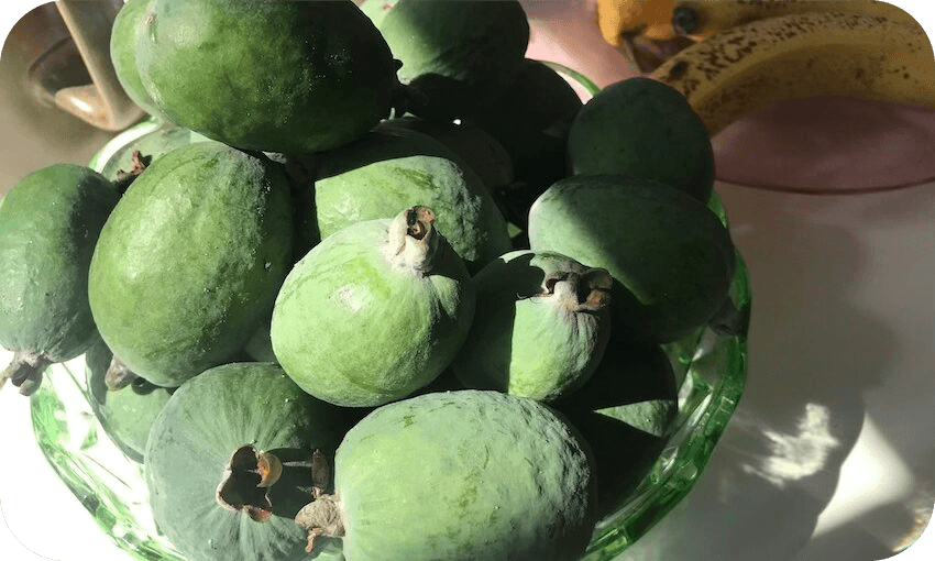 A bowl filled with feijoas.