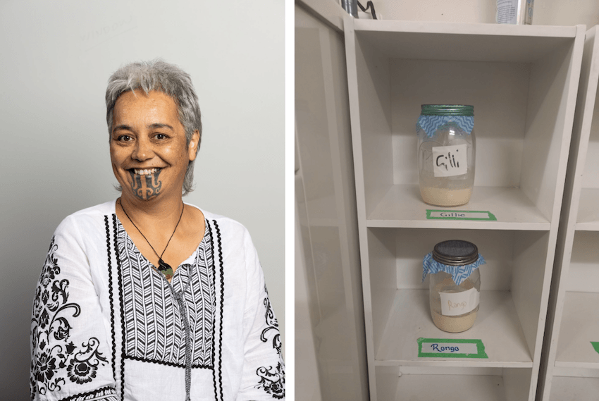 A professional headshot of Tania Gilchrist on the left, she wears a black and white blouse. On the right two rēwena starters or bugs, named Gillie and Rongo sit in their dressing room shelves with name tags.