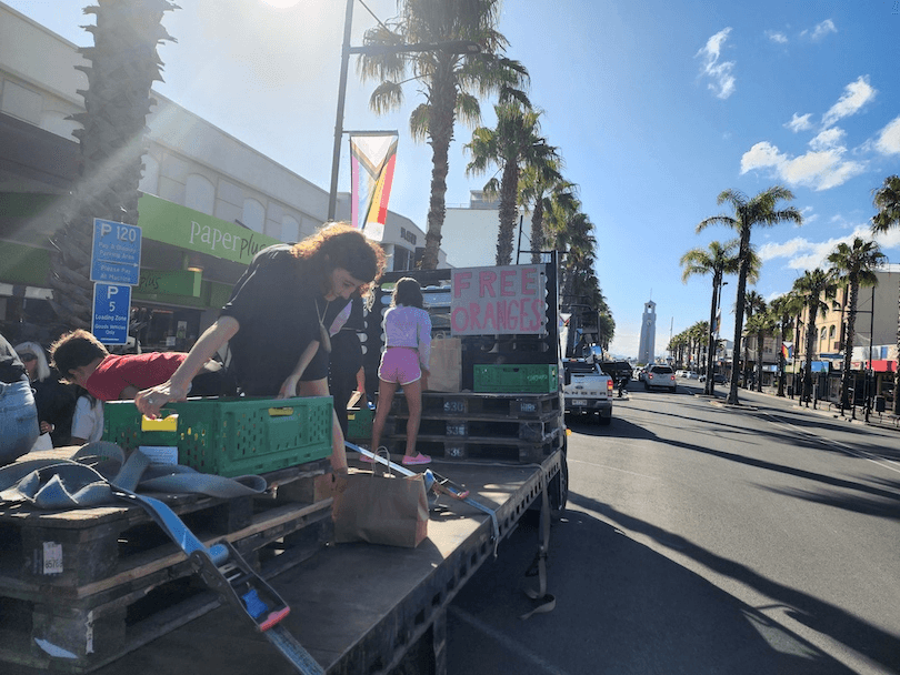 people handing out crates of oranges from a truck along a main road, with a sign saying free oranges