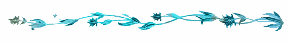 An illustration of blue flowers on a white background