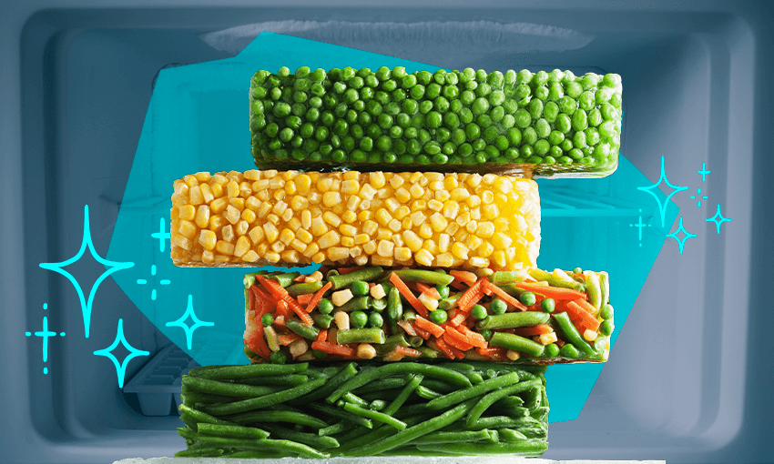 slabs of colourful frozen veg in a freezer