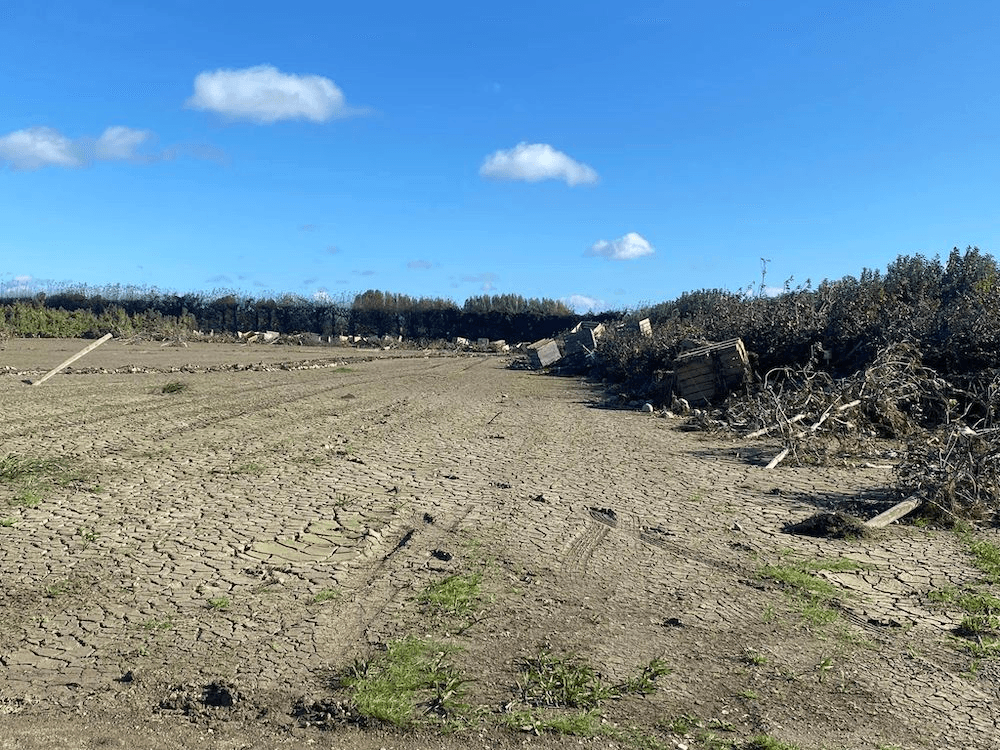 A silt covered field in the Hawkes Bay.