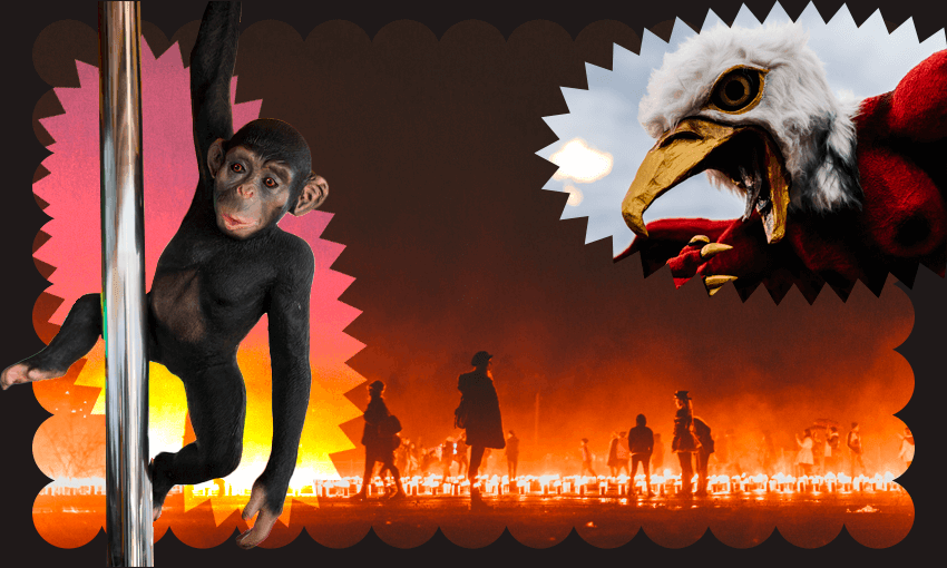 Normal scenes in Hobart (Photos: Supplied / Design: Tina Tiller)