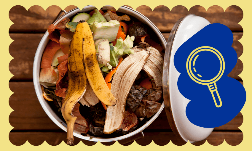 food scraps (banana peel etc) in a compost bin