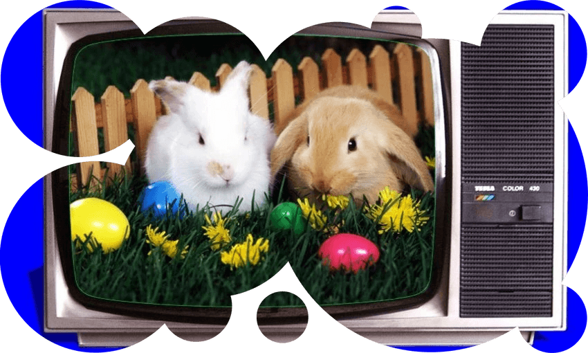 Two cute bunny rabbits on telly.