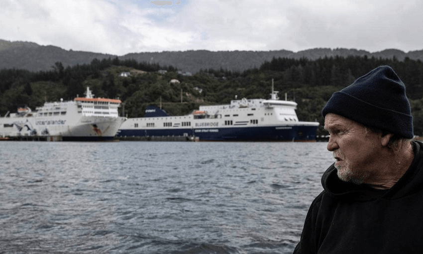 ‘We think that the risk is too high’: Tim Healey, chairman of the Guardians of the Sounds (Photo: Iain McGregor/Stuff) 
