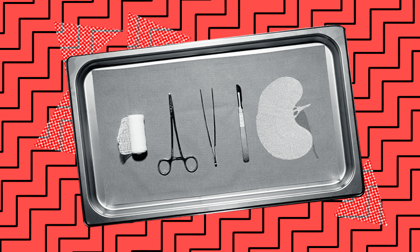 (Image: Tina Tiller) 
