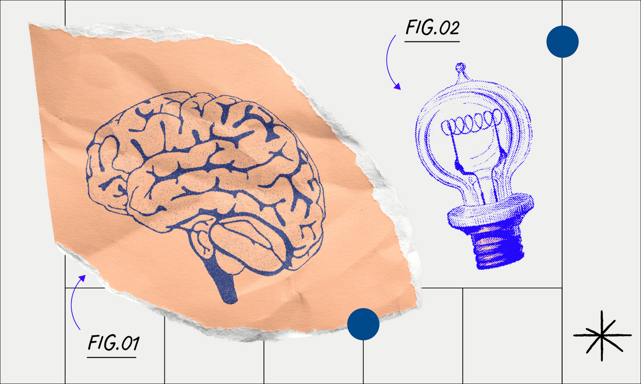 Image: Lauren Stewart 
